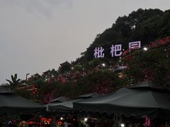 -枇杷园食为鲜火锅(南山店)