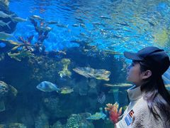 -华夏文旅海洋公园