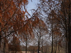 -宁波杭州湾国家湿地公园