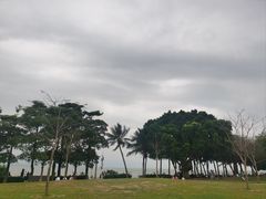 -深圳湾公园(南山区)