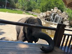 -北京野生动物园