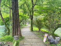 -灵栖洞天