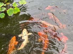 -杭州花家山庄