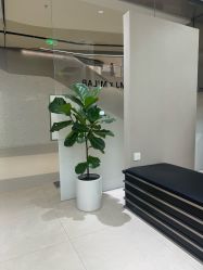 -M² LAB SALON