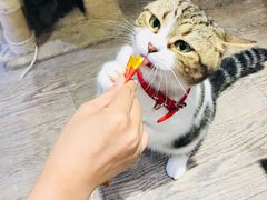 -小时光咖啡馆(开森度假森林店)