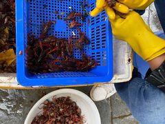 -青石桥市场北1-27号