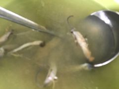 -临高吉海土窑海鲜(琼山店)