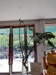 点击看大图 -Dr.林醫生产后修复·配方产康店(南京大厂店)