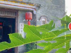 -蔡家宅