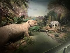 -湖南省地质博物馆