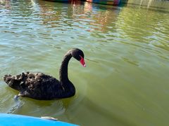 -新疆天山野生动物园