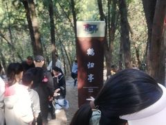-云龙山