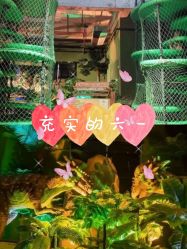 -恐龙探索乐园(磁器口店)