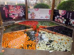 -郑州银基黄帝宫御温泉