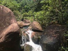 -广州白江湖森林公园