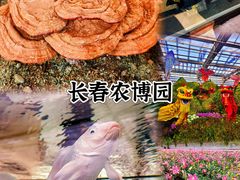 -长春农博园