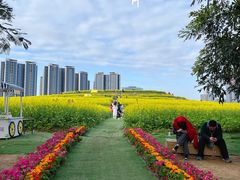 -光明小镇欢乐田园