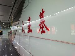 -大王基(地铁站)