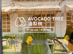 -油梨树AVOCADO TREE(顺义新国展店)