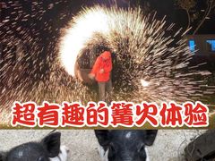 -前小桔亲子创意农场·草莓采摘·露营烧烤