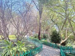 -乌山风景区