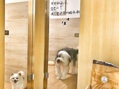 -Double Rui宠物酒店