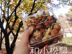 -国家植物园南园