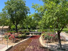 -石家庄市动物园