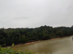 -中山市树木园