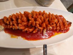 珊瑚鱼-刘胖子家常菜·蹄花焖藕(富安街店)