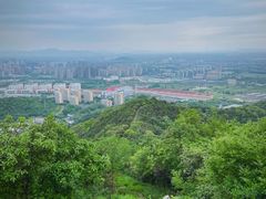 -杭州半山国家森林公园