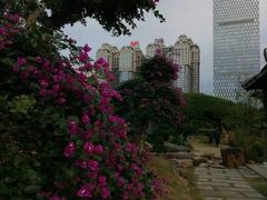 -南宁南湖公园
