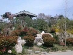 -孔子研究院