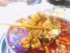 -蛙两只美蛙鱼头火锅(恒茂店)