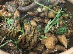 -广宁炭炉鸡煲·富临门饭店