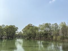 -长白岛森林公园