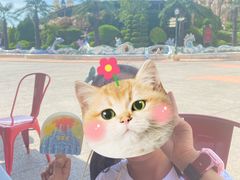 -蓬莱欧乐堡梦幻世界