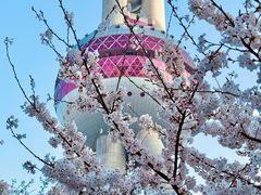 -东方明珠广播电视塔