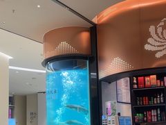 -谭厨中山传家菜.乳鸽.脆鲩鱼(华强北中航城店)