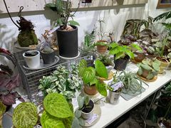 -老爷锅(新街口IFCX店)