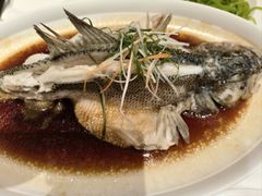-普天和酒楼·新津菜·烤鸭(天津之眼店)