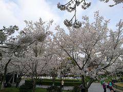 -堤角公园