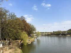 -月湖风景区