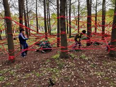 -营地公园·团建拓展·亲子户外(奉贤店)