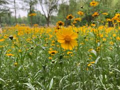 -白塘生态植物园