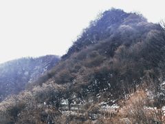 -少华山国家森林公园