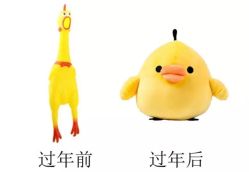 -卓梵美发·精品Salon