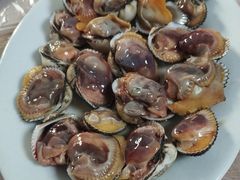 毛蛤-阿杰臻选海鲜饭店(普陀山店)