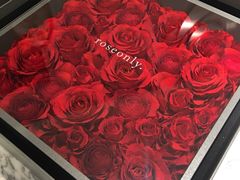 -ROSEONLY诺誓(青岛万象城店)