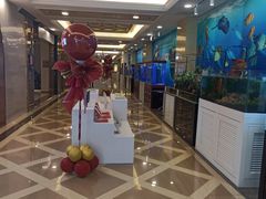 -上海月星家居(澳门路店)